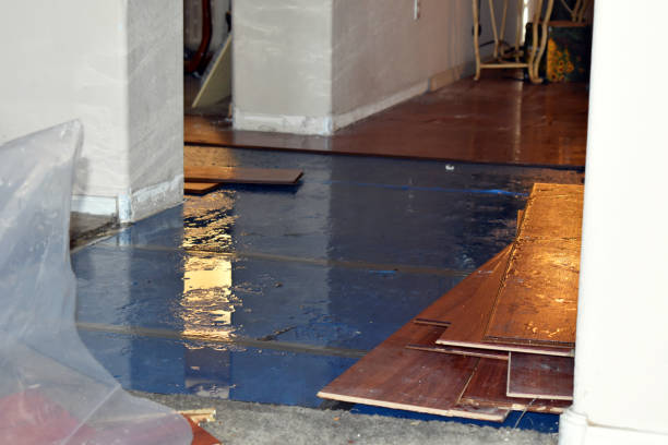 Professional Water Damage Repair technician working in Port Jefferson Station, NY